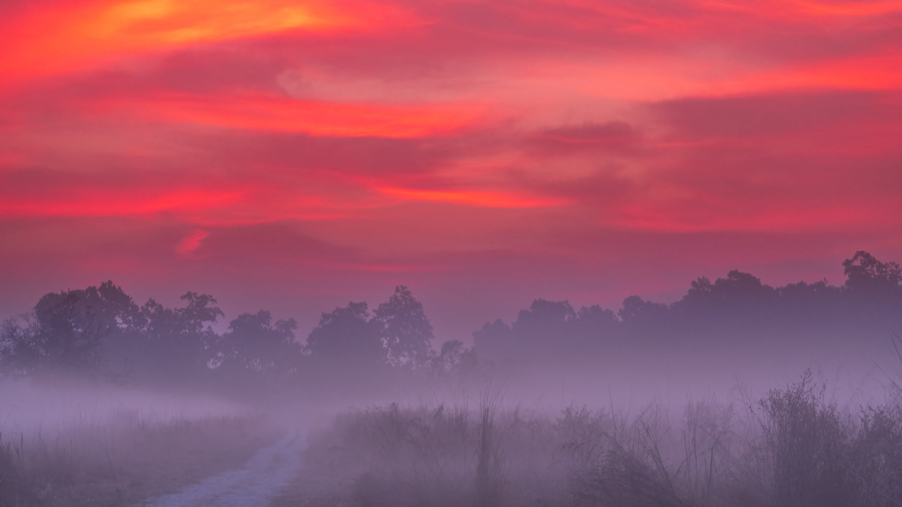 Terai-Duar Savanna