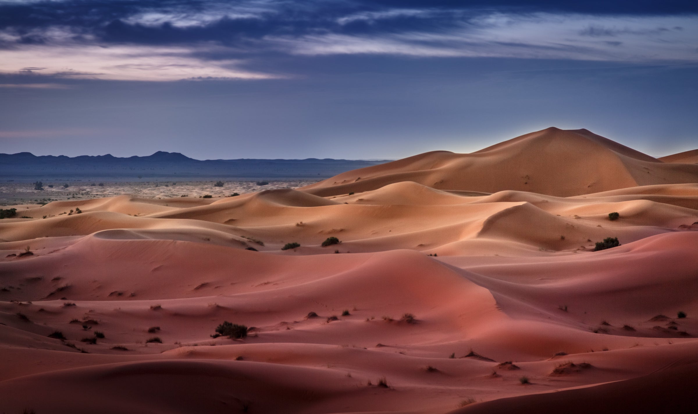 Sahara Desert