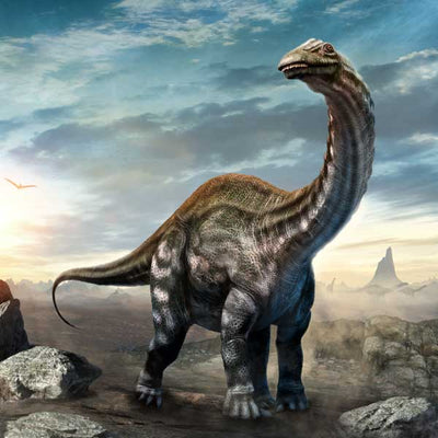 Brachiosaurus (Retiring)